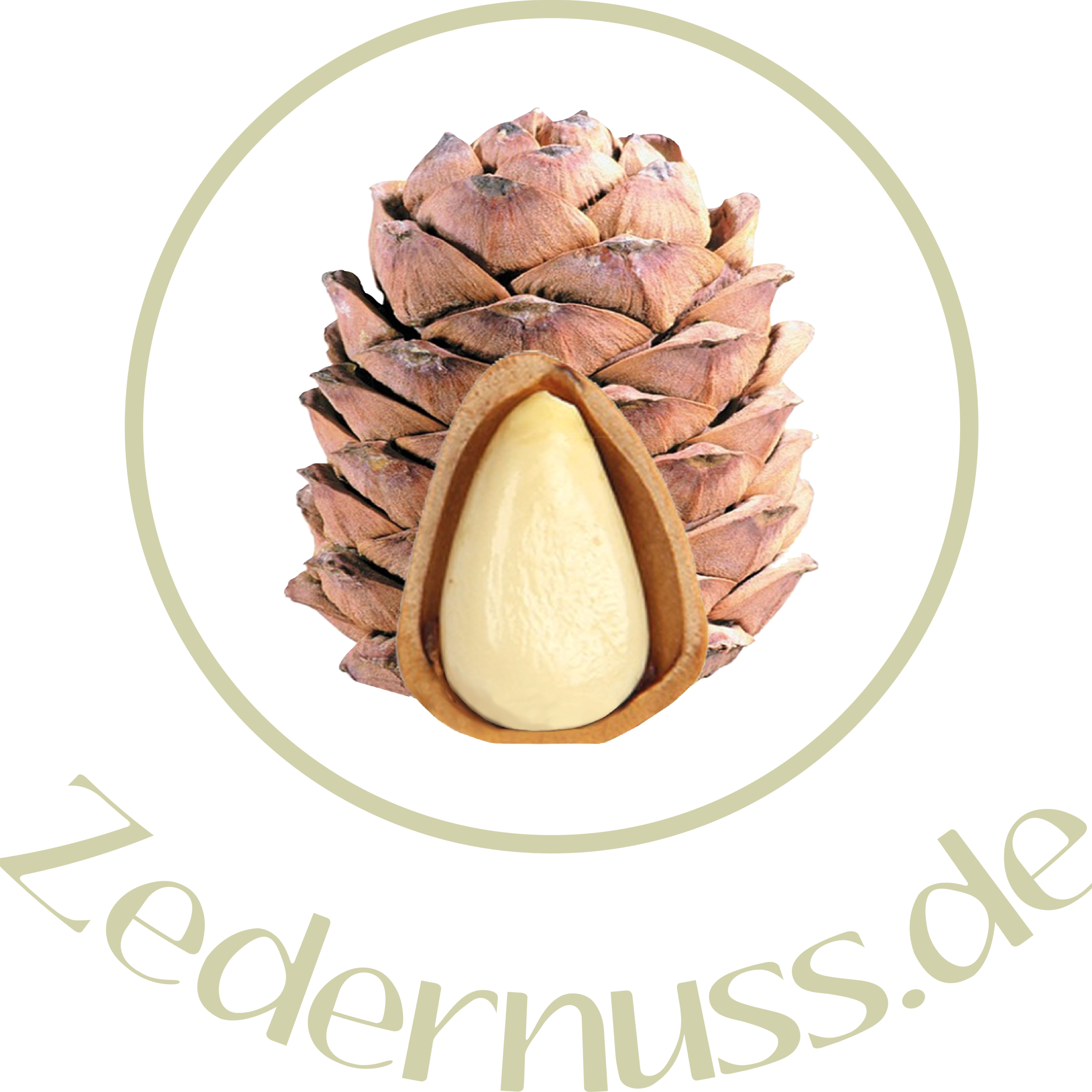 Online Shop Zedernuss.de